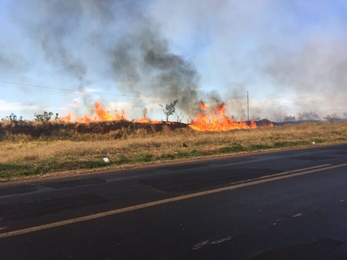 bombeiros-combatem-varios-focos-de-incendio-no-distrito-industrial-em-uberlandia;-veja-video bombeiros-combatem-varios-focos-de-incendio-no-distrito-industrial-em-uberlandia;-veja-video