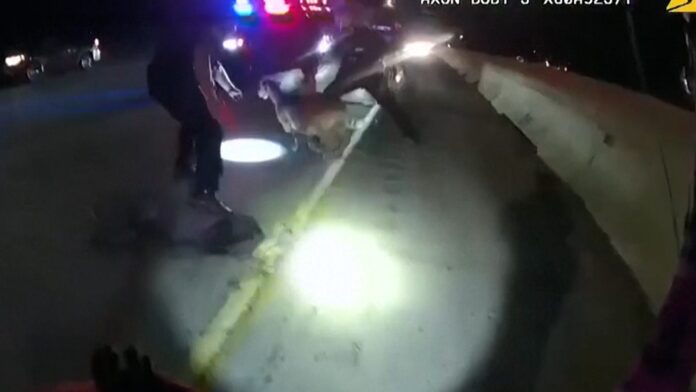 cabra-solta-em-rodovia-nos-eua-da-trabalho-para-policiais;-video-mostra-fuga-e-captura cabra-solta-em-rodovia-nos-eua-da-trabalho-para-policiais;-video-mostra-fuga-e-captura