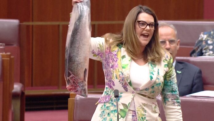 senadora-da-australia-leva-salmao-podre-para-sessao-do-parlamento-em-protesto senadora-da-australia-leva-salmao-podre-para-sessao-do-parlamento-em-protesto