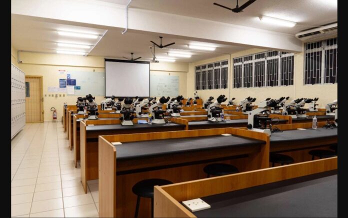 inscricao-para-pe-de-meia-licenciaturas-termina-no-domingo;-incentivo-mensal-e-de-r$-1.050 inscricao-para-pe-de-meia-licenciaturas-termina-no-domingo;-incentivo-mensal-e-de-r$-1.050