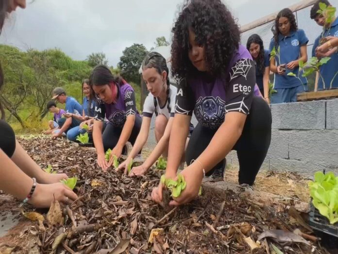 escola-agricola-prepara-filhos-de-produtores-rurais-em-piedade escola-agricola-prepara-filhos-de-produtores-rurais-em-piedade