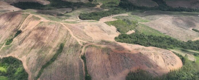 por-que-decisao-da-china-de-restringir-exportacao-de-terras-raras-e-duro-golpe-para-eua por-que-decisao-da-china-de-restringir-exportacao-de-terras-raras-e-duro-golpe-para-eua