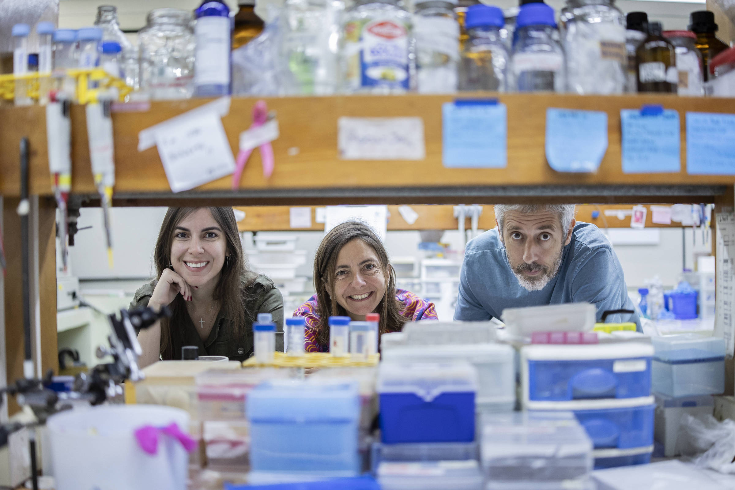 Estudo identifica 21% de reprodutibilidade em biomédica – 09/04/2025 – Ciência