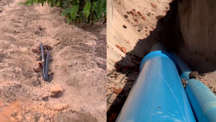 com-irrigacao-subterranea-agricultores-de-cafe-e-cana-melhoram-producao-e-economizam-agua-no-es com-irrigacao-subterranea-agricultores-de-cafe-e-cana-melhoram-producao-e-economizam-agua-no-es