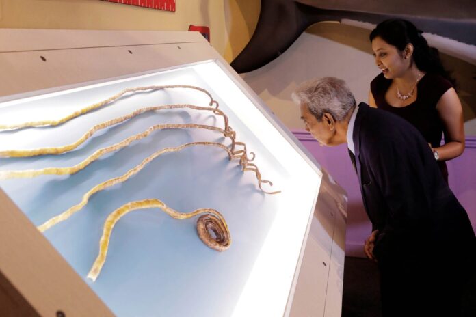 indiano-corta-maiores-unhas-do-mundo-e-expoe-em-museu-de-ny indiano-corta-maiores-unhas-do-mundo-e-expoe-em-museu-de-ny