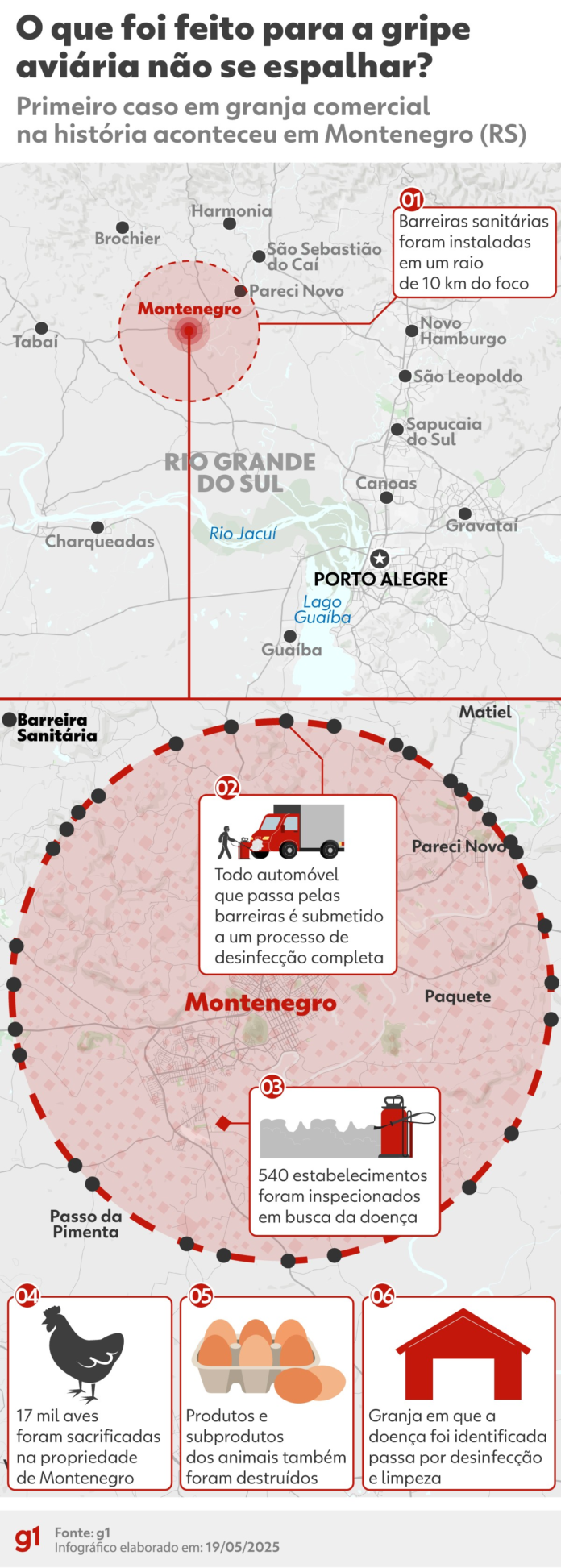 veja-os-paises-com-embargos-a-carne-de-frango-do-brasil-apos-gripe-aviaria veja-os-paises-com-embargos-a-carne-de-frango-do-brasil-apos-gripe-aviaria