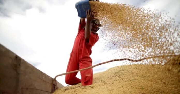 governo-ve-pib-do-1o-trimestre-‘levemente-abaixo’,-mas-mantem-projecao-de-alta-de-2,4%-para-2025