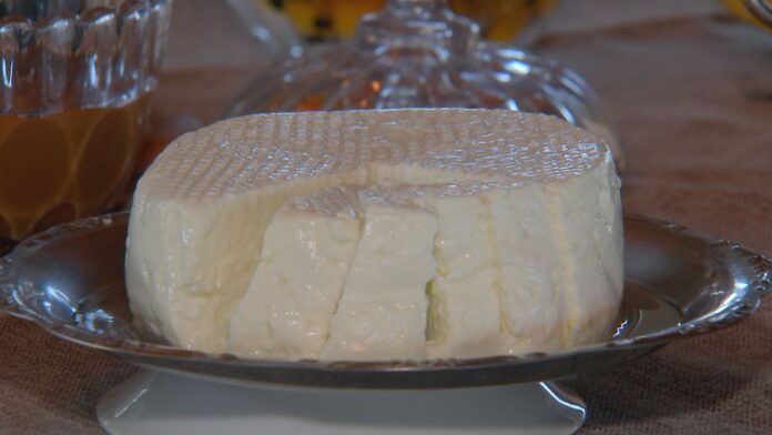 criadores-de-bufalas-investem-na-producao-artesanal-de-queijo criadores-de-bufalas-investem-na-producao-artesanal-de-queijo