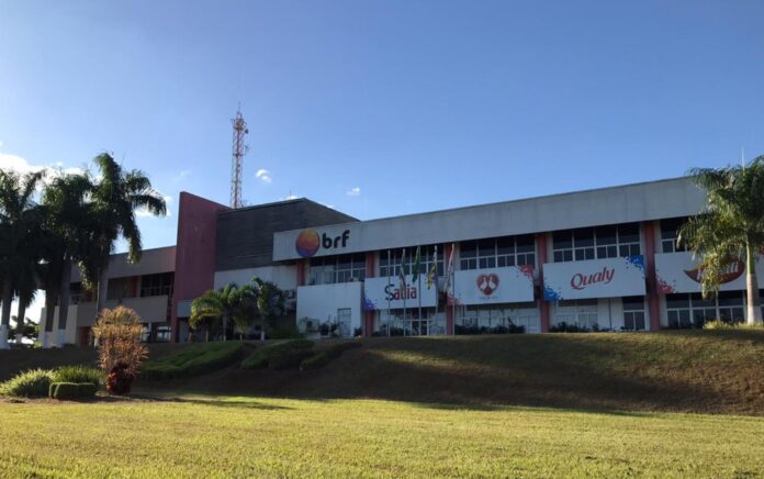 brf-abate-74-mil-galinhas-de-forma-preventiva-para-evitar-risco-de-gripe-aviaria,-em-goias brf-abate-74-mil-galinhas-de-forma-preventiva-para-evitar-risco-de-gripe-aviaria,-em-goias