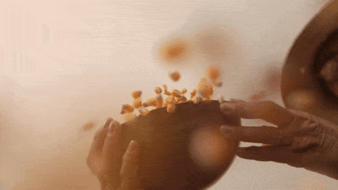 guardioes-de-sementes-adaptam-graos-para-enfrentar-seca-e-garantir-alimentos-no-sertao-de-pe