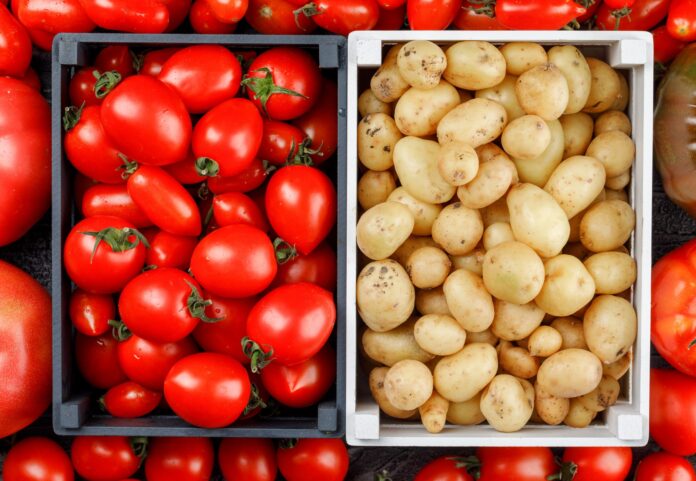 como-uma-facanha-evolutiva-nos-deu-as-batatas-—-e-por-que-elas-nao-existiriam-sem-os-tomates
