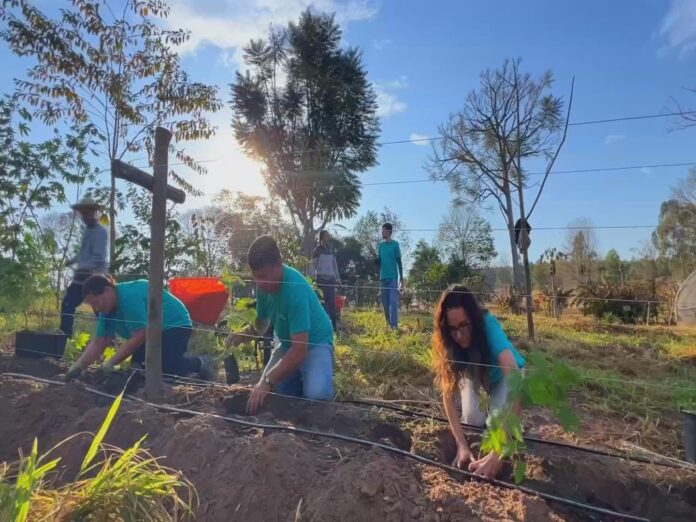 propriedades-aliam-producao-a-protecao-do-meio-ambiente propriedades-aliam-producao-a-protecao-do-meio-ambiente