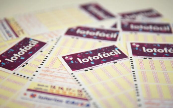 lotofacil-da-independencia-sorteia-r$-220-milhoes-neste-sabado;-veja-como-apostar lotofacil-da-independencia-sorteia-r$-220-milhoes-neste-sabado;-veja-como-apostar