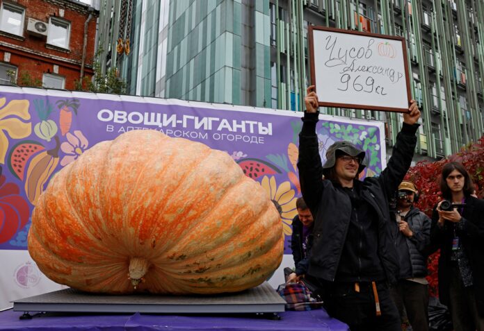 video:-abobora-gigante-de-quase-1-tonelada-e-erguida-por-guindaste-em-festival-na-russia
