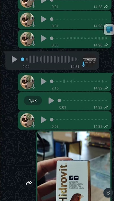 calopsita-envia-audios-e-foto-pelo-whatsapp-de-tutora-sem-que-ela-perceba-e-video-viraliza calopsita-envia-audios-e-foto-pelo-whatsapp-de-tutora-sem-que-ela-perceba-e-video-viraliza