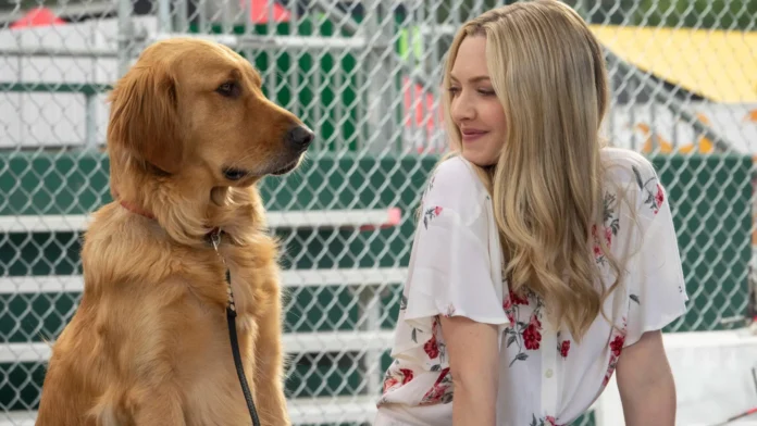 filmes-incriveis-para-assistir-com-seu-cachorro filmes-incriveis-para-assistir-com-seu-cachorro