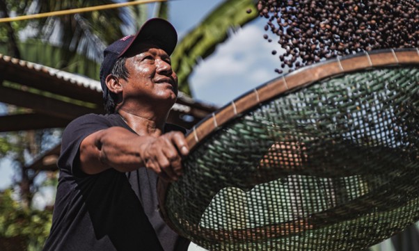 cooperacao-que-transforma:-sicoob-leva-cases-de-sucesso-para-a-cop30