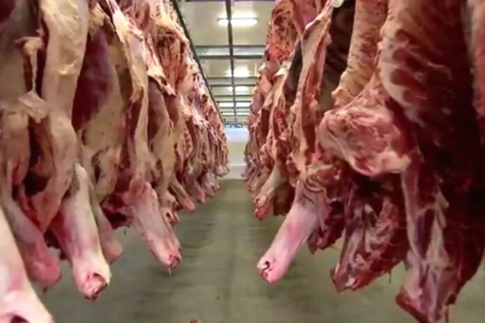 tarifaco-de-trump:-fim-da-taxacao-de-40%-nos-eua-deve-normalizar-exportacoes-de-cafe-e-carne-em-ms