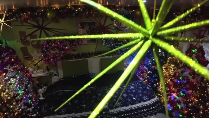 casal-da-alemanha-bate-recorde-ao-montar-621-arvores-de-natal-dentro-de-casa