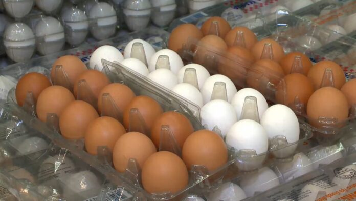 tarifaco-de-trump-continua-para-ovos-brasileiros-e-acaba-com-a-disparada-de-vendas-para-os-eua
