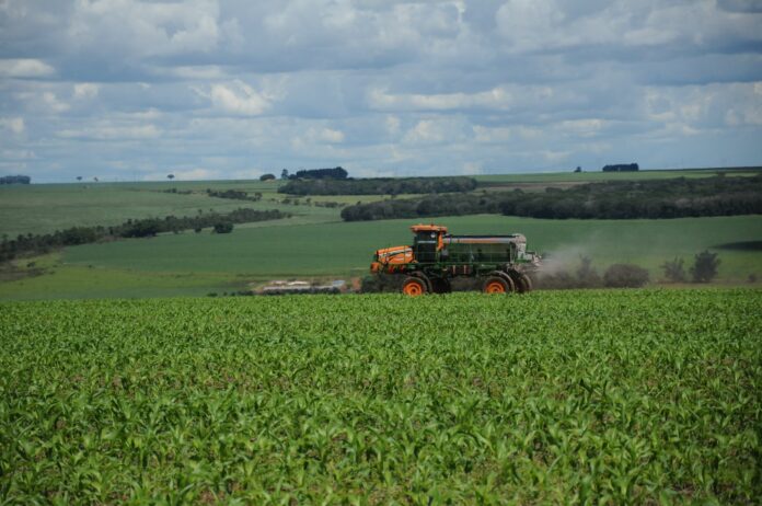 em-meio-a-guerra-comercial,-brasil-bate-recorde-em-exportacoes-de-soja-e-amendoim-para-a-china