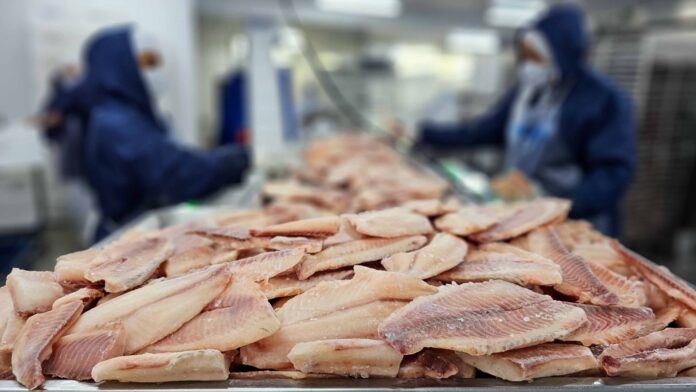 quase-metade-das-exportacoes-do-agro-segue-com-tarifaco-nos-eua