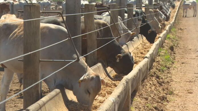 tempestades-com-raios-sao-um-perigo-na-zona-rural