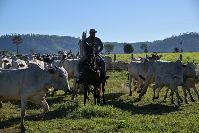 acordo-ue-mercosul:-parlamento-europeu-aprova-medidas-de-protecao-mais-rigidas-para-o-agro