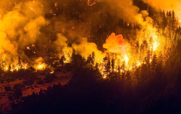 incendio-florestal-de-grandes-proporcoes-atinge-a-patagonia-argentina;-‘inferno’,-diz-moradora