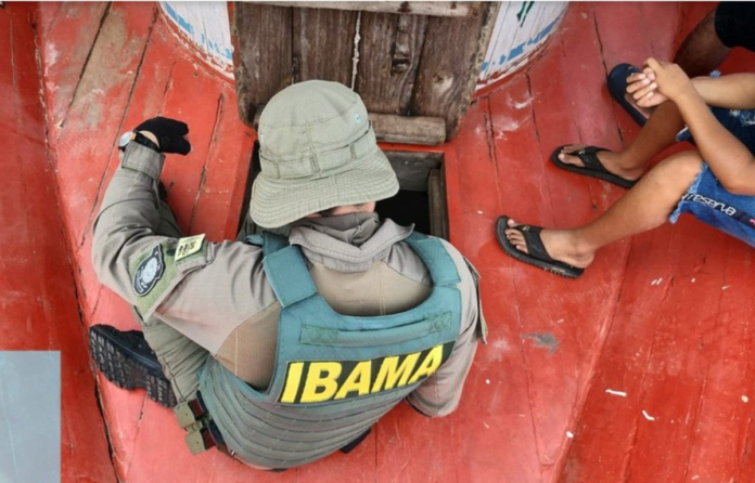 golpe-do-falso-concurso-faz-ibama-emitir-alerta;-entenda-o-caso-e-veja-como-se-proteger