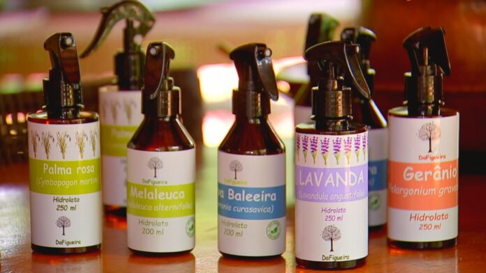 plantas-aromaticas-sao-cultivadas-para-producao-de-oleos-essenciais