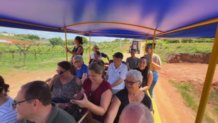 turismo-rural-encanta-quem-e-da-cidade-e-gera-renda-no-campo