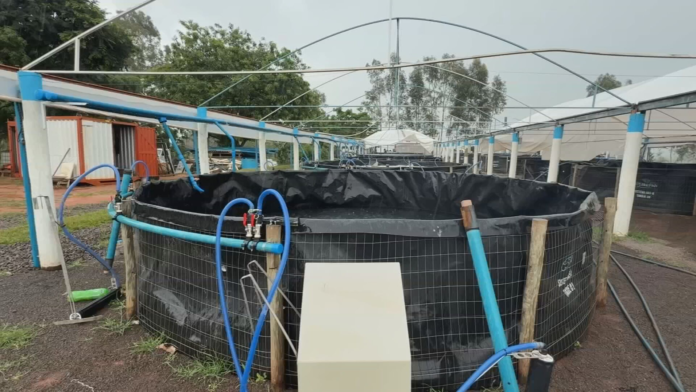 excesso-de-chuva-pode-causar-prejuizos-na-piscicultura