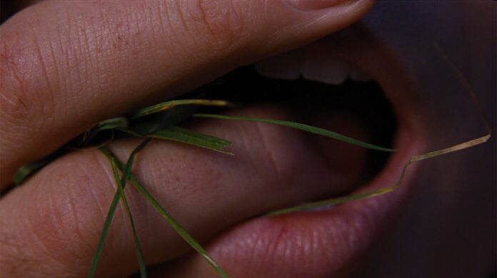 ‘o-morro-dos-ventos-uivantes’-subverte-classico-subversivo-com-beleza,-exagero-e-tesao;-g1-ja-viu