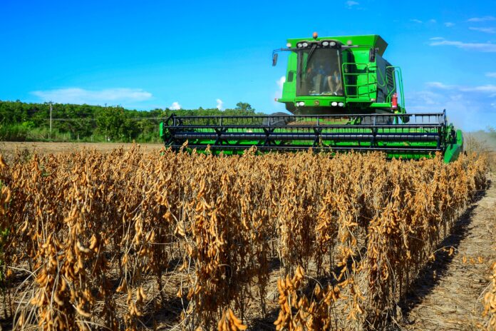 no-ano-do-tarifaco-de-trump,-pedidos-de-falencia-de-agricultores-crescem-quase-50%-em-2025-nos-eua