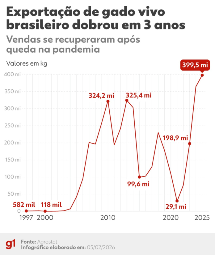 exportacao-de-gado-vivo-dobra-em-3-anos,-mesmo-com-criticas-de-ambientalistas-ao-transporte
